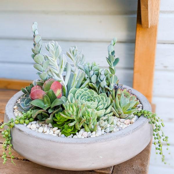 Emerson Succulent Planter